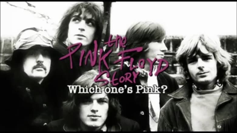 The Pink Floyd Story: Which One's Pink?