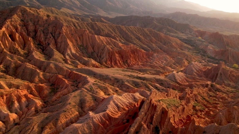 кадр из фильма Terre, Les Forces du Vivant