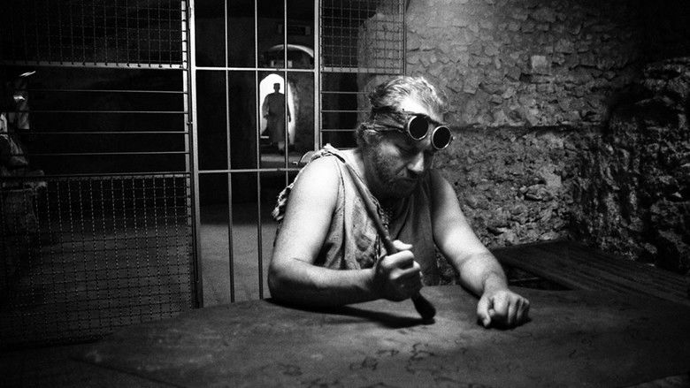 кадр из фильма Il ronzio delle mosche