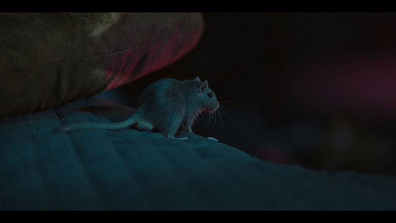 кадр из фильма Damsel in Geekstress