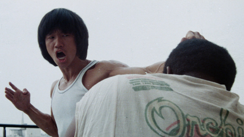 кадр из фильма Ниндзя наносит ответный удар