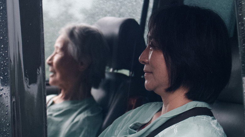 кадр из фильма 貓與雞