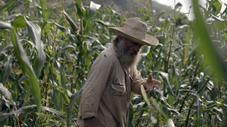 кадр из фильма La hora cero