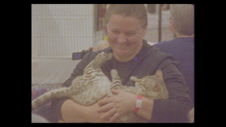 кадр из фильма Considering Cats