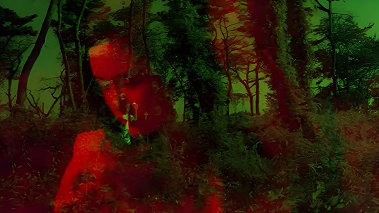 너 또한 별이 되어