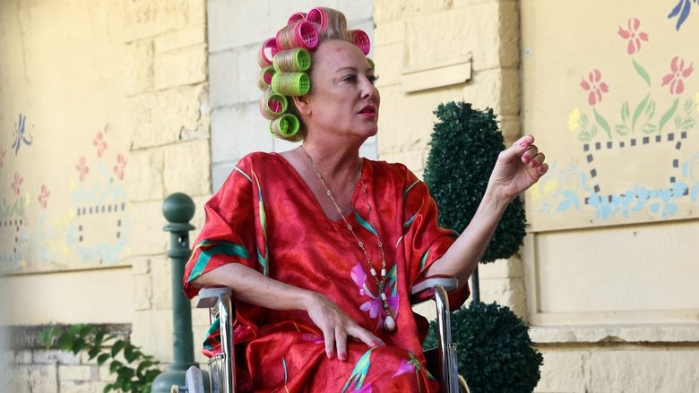 кадр из фильма Один день в львиной шкуре