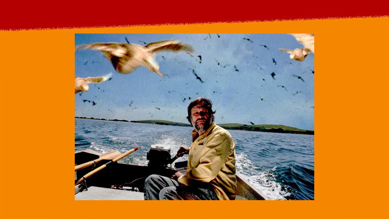 кадр из фильма The Pervert's Guide to Cinema