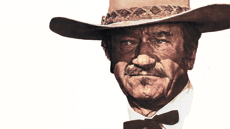 Самый меткий