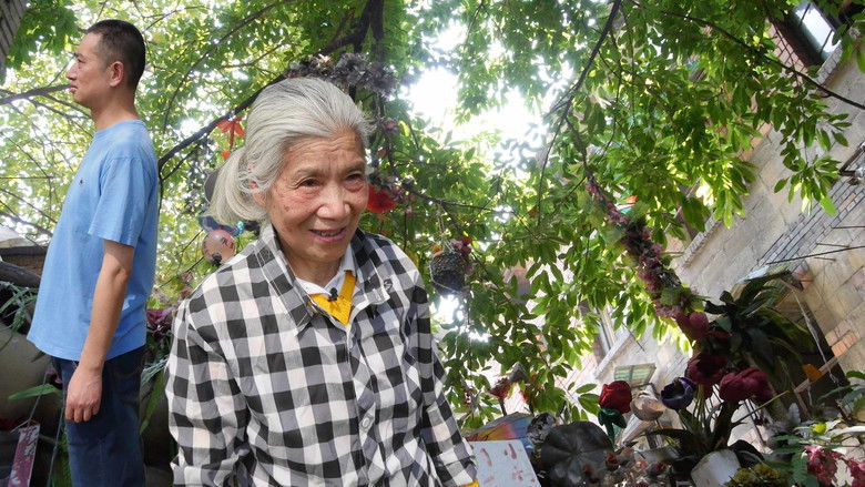 кадр из фильма Тётушка Ху и её райский сад