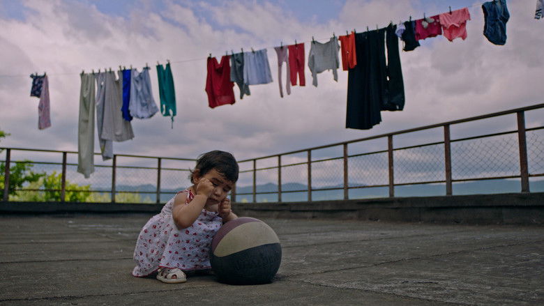 кадр из фильма იქ, სადაც სახლია