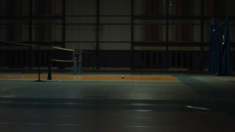 Птица улетела