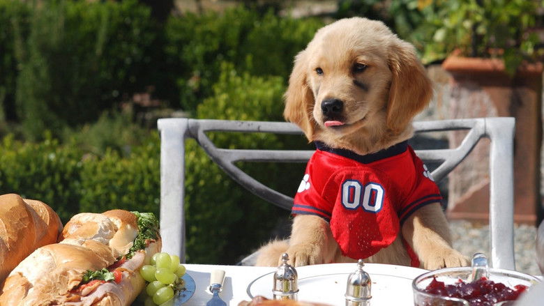 кадр из фильма Принцы воздуха