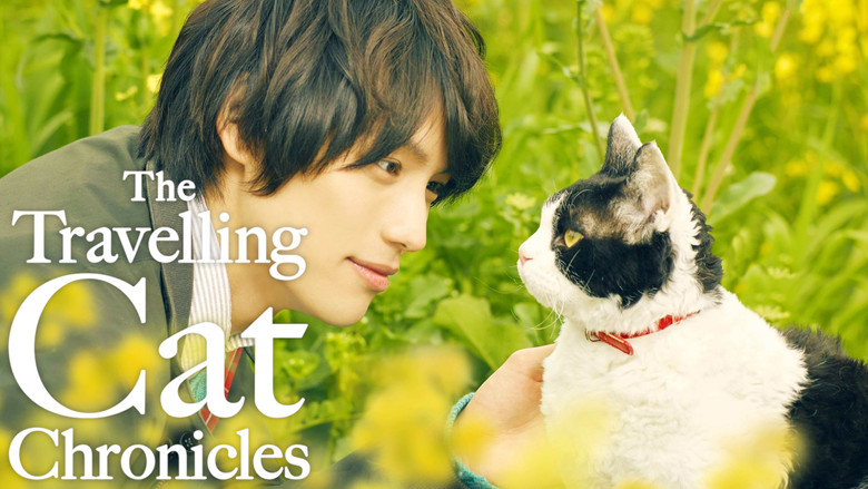 кадр из фильма 旅猫リポート