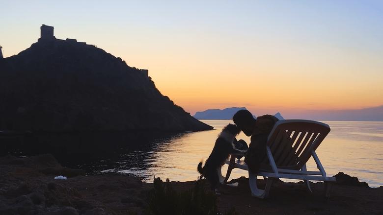 кадр из фильма Pets