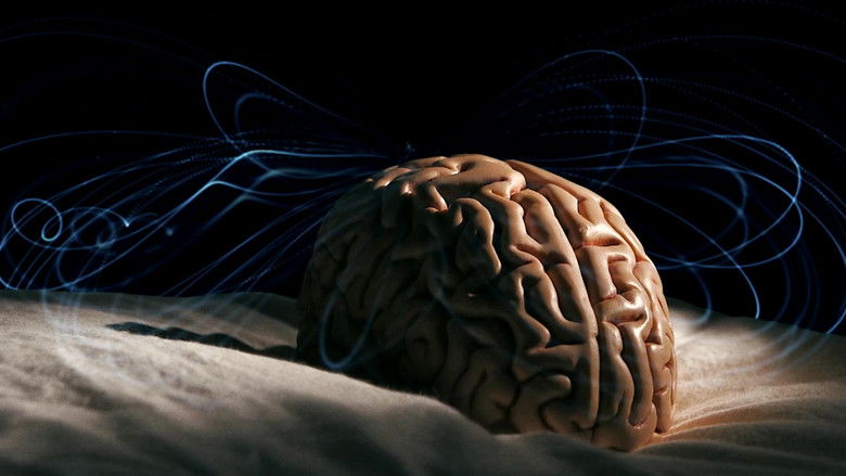 кадр из фильма Tricky Memory