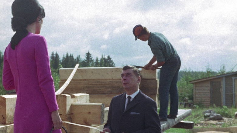 кадр из фильма Mädchen in der Sauna