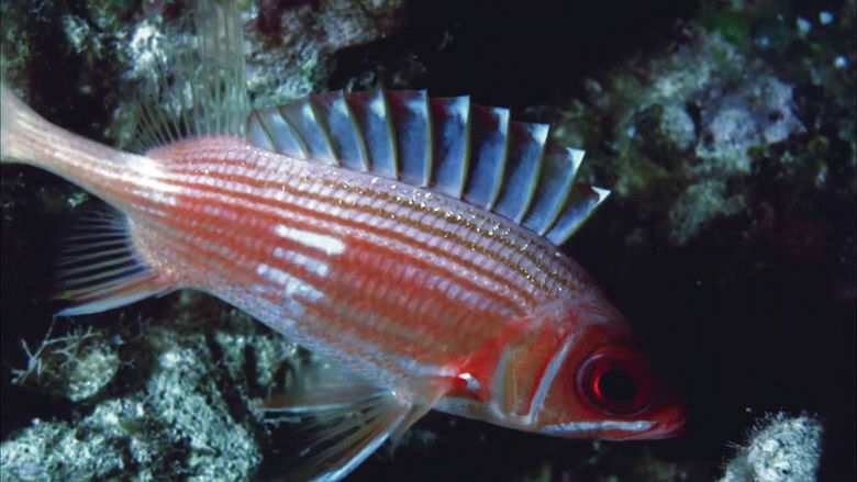 кадр из фильма Undercurrents