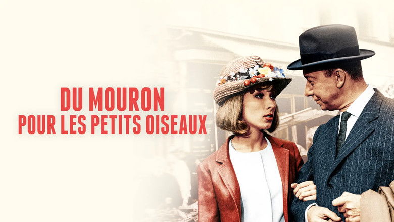 кадр из фильма Du mouron pour les petits oiseaux