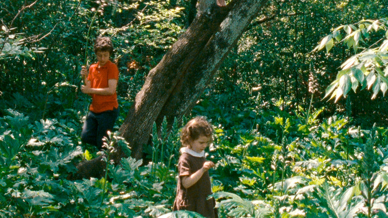 кадр из фильма Метаморфоза птиц