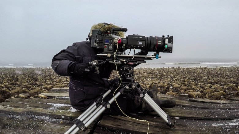 кадр из фильма Наша планета: за кулисами