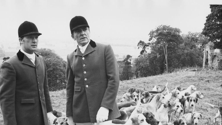 кадр из фильма The Belstone Fox