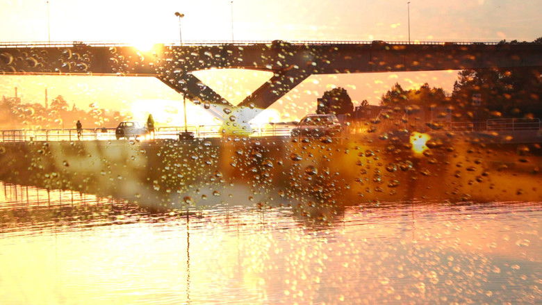 кадр из фильма ADN