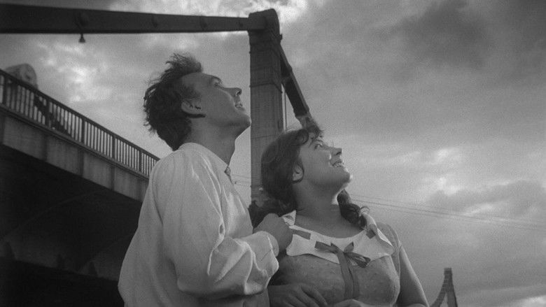 кадр из фильма Летят журавли