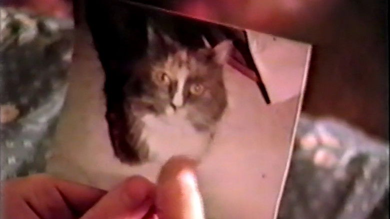 кадр из фильма Hallucinations