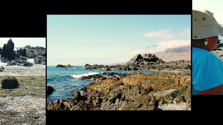 кадр из фильма El cost amagat