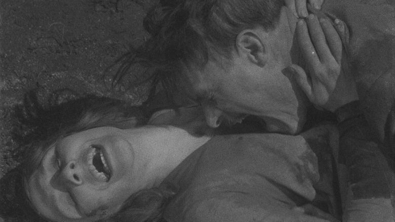 кадр из фильма Золотой век