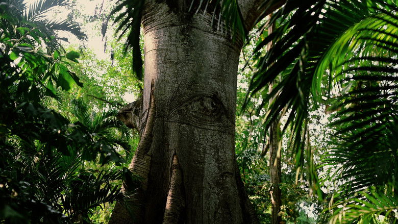 кадр из фильма Ser bruja