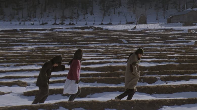 кадр из фильма 고래사냥