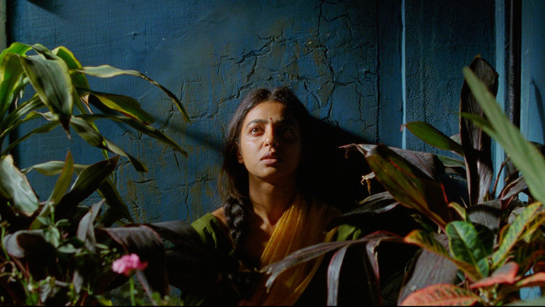 кадр из фильма Sister Midnight