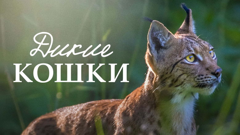 кадр из фильма Дикие кошки
