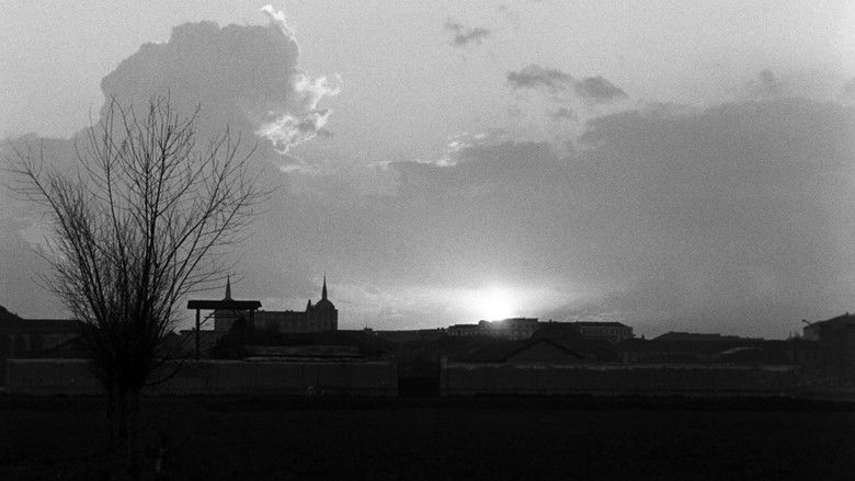 кадр из фильма Чудо в Милане