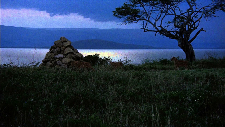 кадр из фильма Живущие свободными