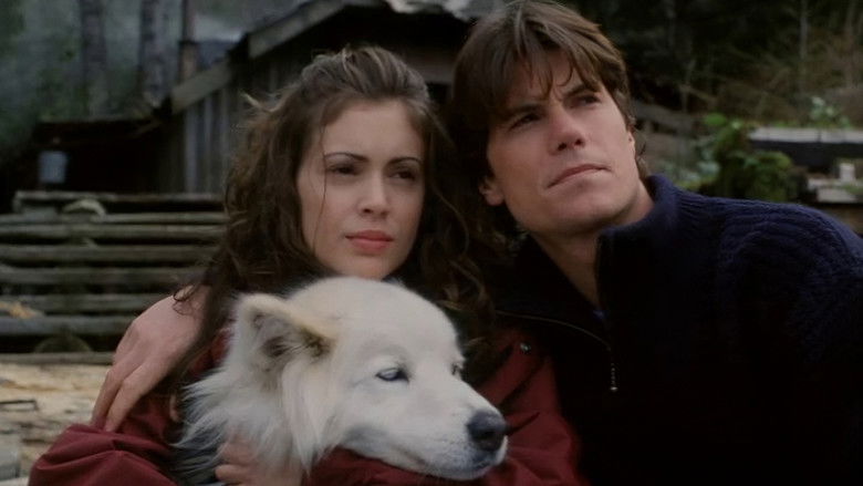 кадр из фильма To Brave Alaska