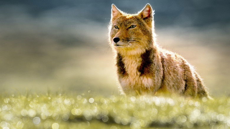 кадр из фильма The Hidden Kingdoms of China