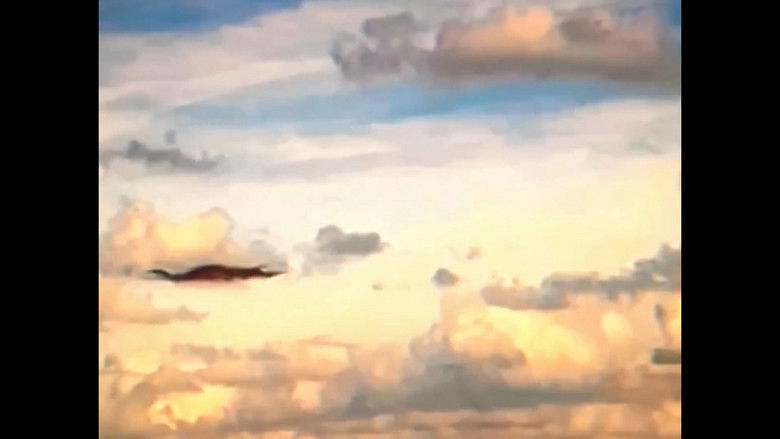 кадр из фильма The Boiled One Phenomenon