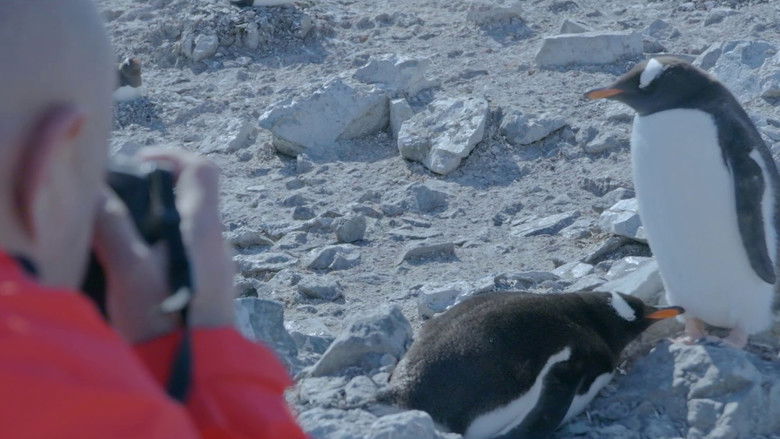 кадр из фильма Let's go to Antarctica!