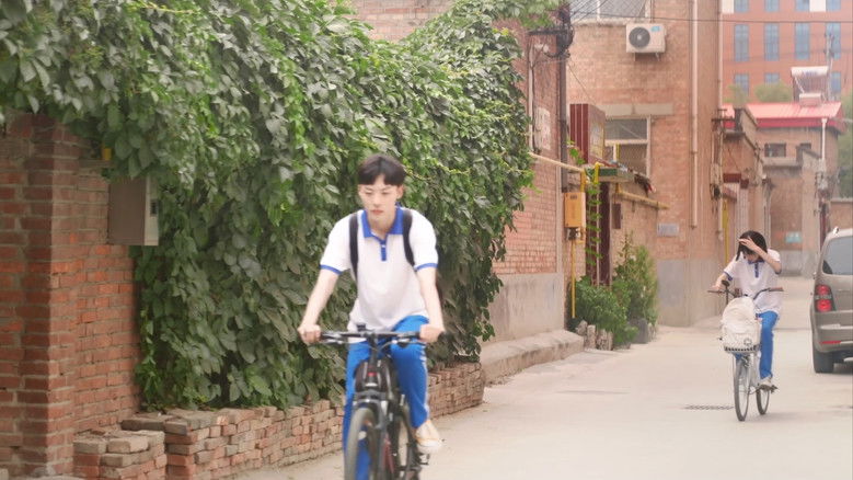 кадр из фильма 小树和她的影子