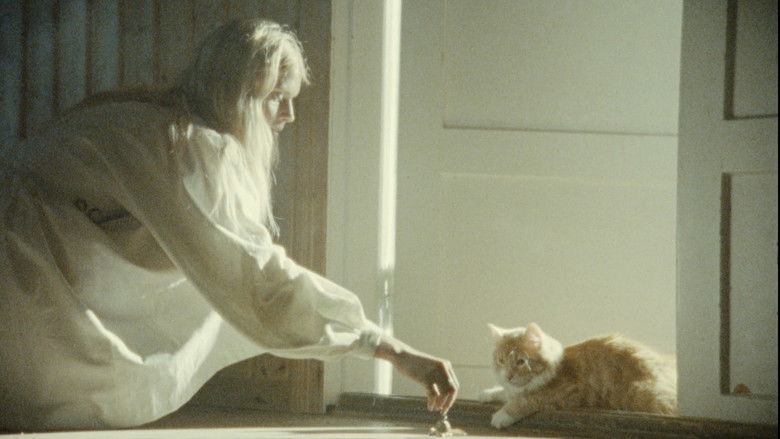 кадр из фильма Keskiyön auringosta ikuisuuteen