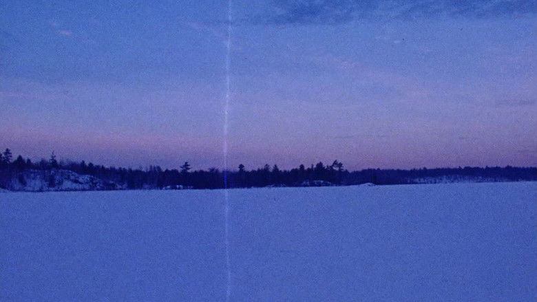 кадр из фильма Everything Everywhere Again Alive