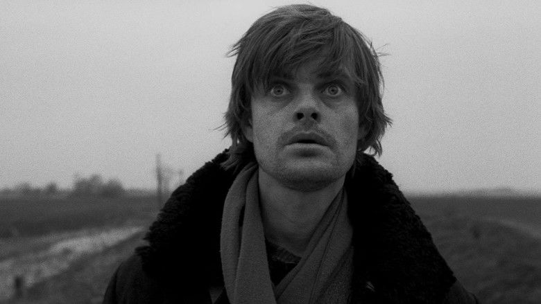 кадр из фильма Гармонии Веркмейстера