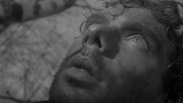 кадр из фильма Летят журавли