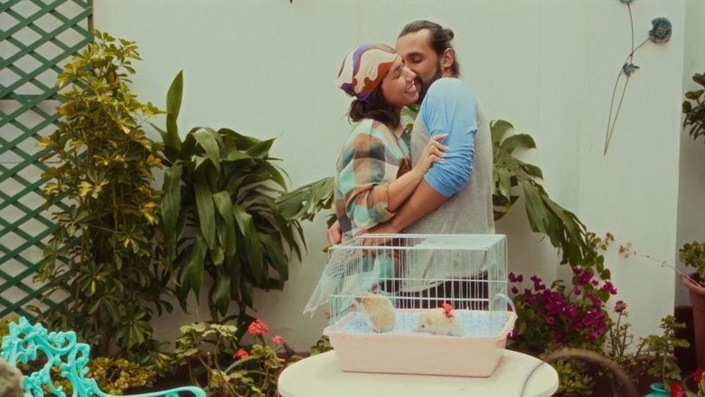 кадр из фильма Amor erizo