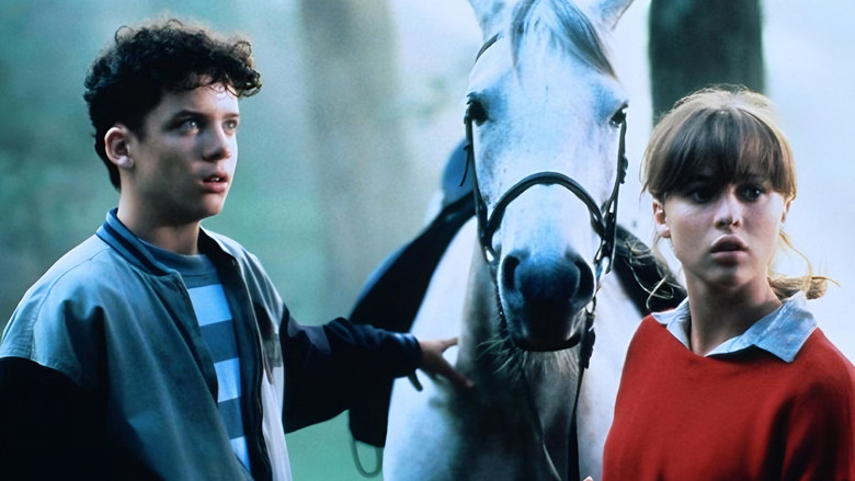 кадр из фильма The Rogue Stallion