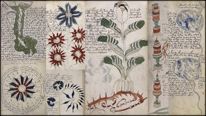 кадр из фильма Das Voynich-Manuskript - Die geheimnisvollste Handschrift der Welt