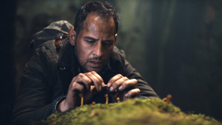 кадр из фильма Тёмная сторона Луны