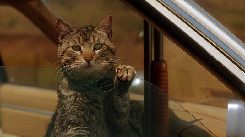 кадр из фильма Лунатики